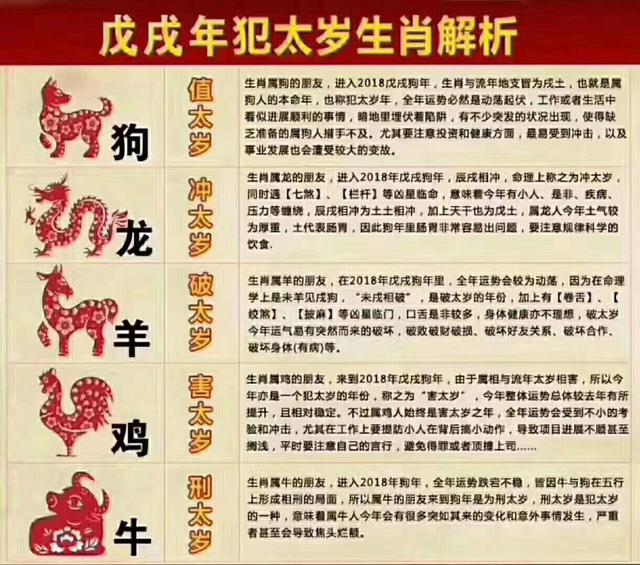 最准一肖100%最准的资料,揭秘生肖预测真相，最准一肖100%最准的资料探索