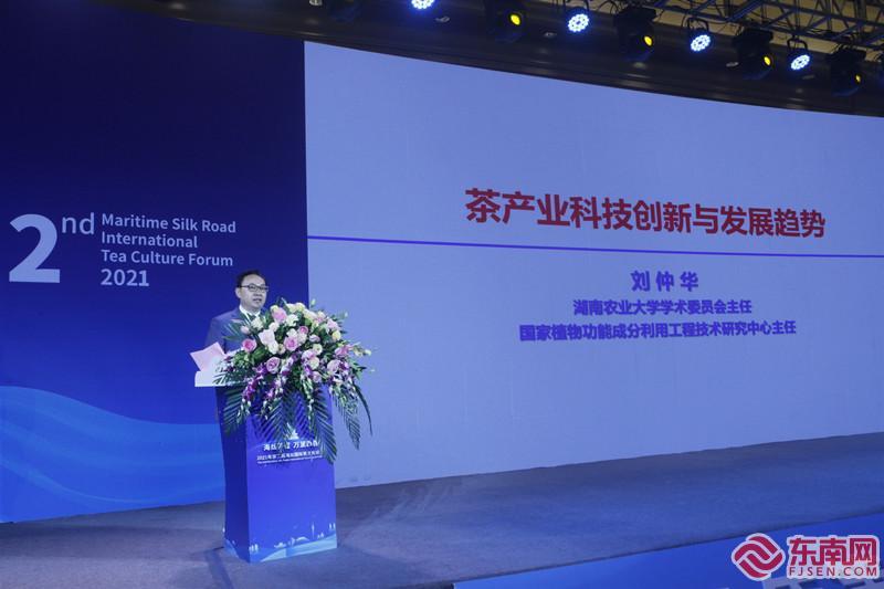 王中王高手论坛资料网址,探索王中王高手论坛，资料宝库与智慧汇聚之地
