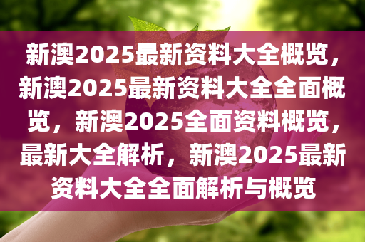 新澳2025年最新版资料,新澳2025年最新版资料详解