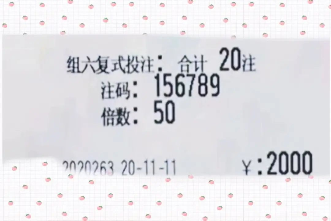 2025年新澳门今晚开奖结果,探索未来彩票之路，聚焦2025年新澳门今晚开奖结果