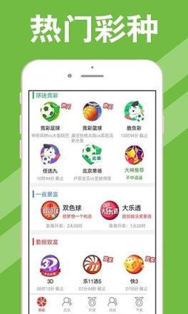 2025年新澳开奖结果记录查询表,揭秘，2025年新澳开奖结果记录查询表全解析