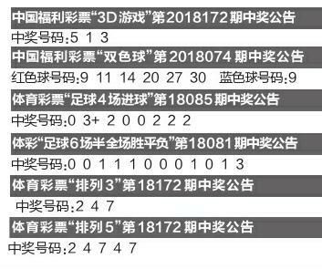 一码一码中奖免费公开资料,一码一码中奖，免费公开资料的探索与揭秘