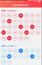 第428页