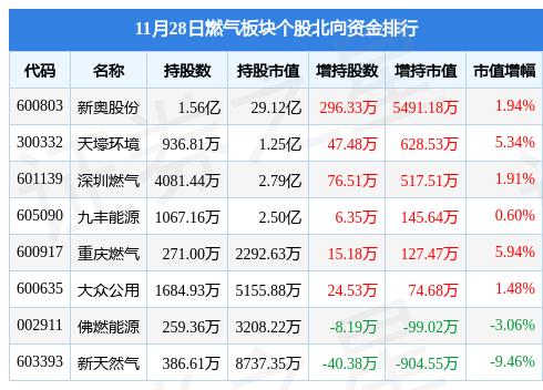 2025新奥历史开奖记录28期,揭秘新奥历史开奖记录，探寻第28期的奥秘与未来展望