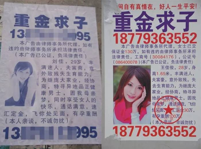 管家婆100%一肖一码准确资料大全,揭秘管家婆100%一肖一码准确资料大全——探索神秘预测世界