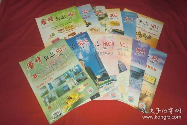 2004年澳门天天开好彩大全,2004年澳门天天开好彩大全——回顾与展望