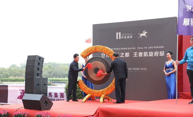2025今晚香港开特马,香港赛马盛宴，2025今晚特马开赛盛况前瞻