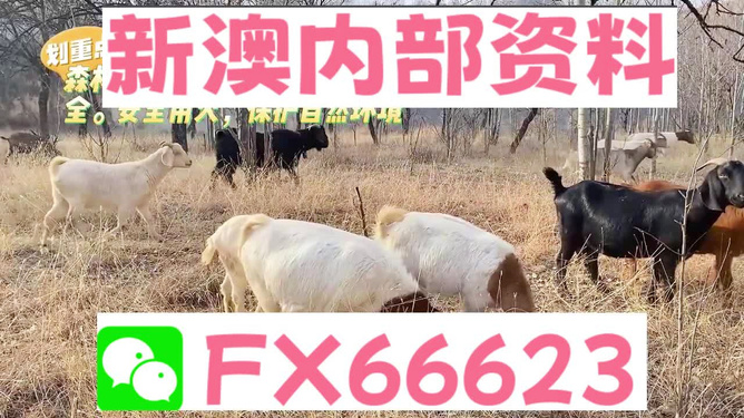 新澳2025今晚开奖资料四不像,新澳2025今晚开奖资料四不像的独特魅力与探索