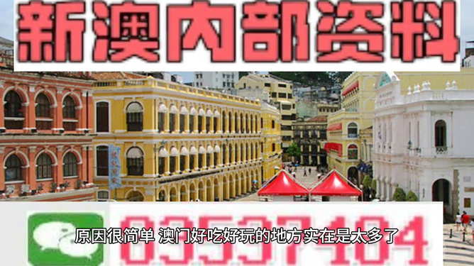 澳门内部正版资料大全,澳门内部正版资料大全，历史、文化、旅游与现代的独特魅力