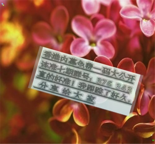 三肖必中特三肖必中,揭秘三肖必中特三肖必中的奥秘