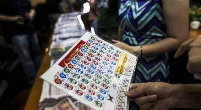 二肖中特期期准免费公开软件特点,二肖中特期期准免费公开软件的特点及优势