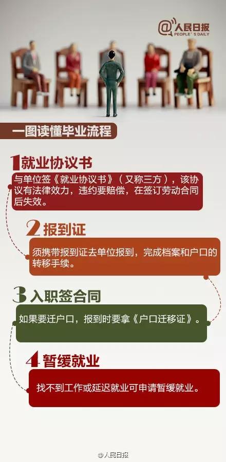 管家婆资料精准一句真言,管家婆资料精准，一句真言引领成功之路