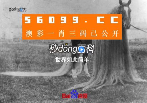 澳门一肖一码一必中一肖,澳门一肖一码一必中之奥秘揭秘