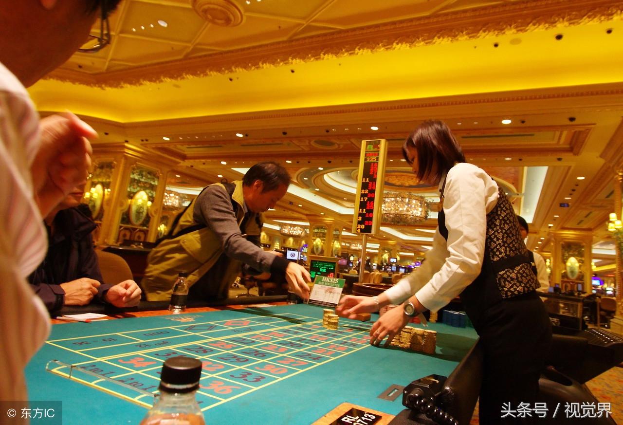 澳门答家婆一肖一马一中一特,澳门答家婆与神秘生肖马，探寻澳门文化中的独特特色