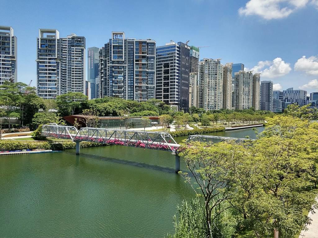 澳门一肖中100%期期准海南特区号,澳门一肖中100%期期准海南特区号的奥秘与探索