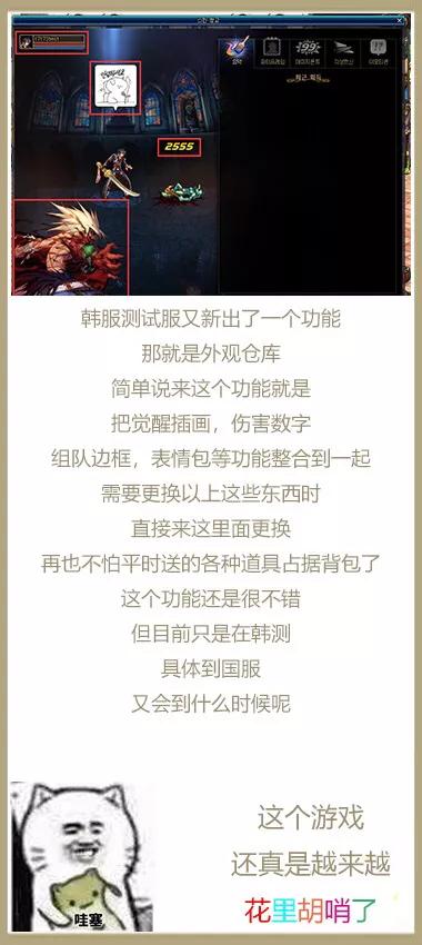 白小姐今天晚上特马开什么号,白小姐今晚特马开什么号，神秘与理性的探索