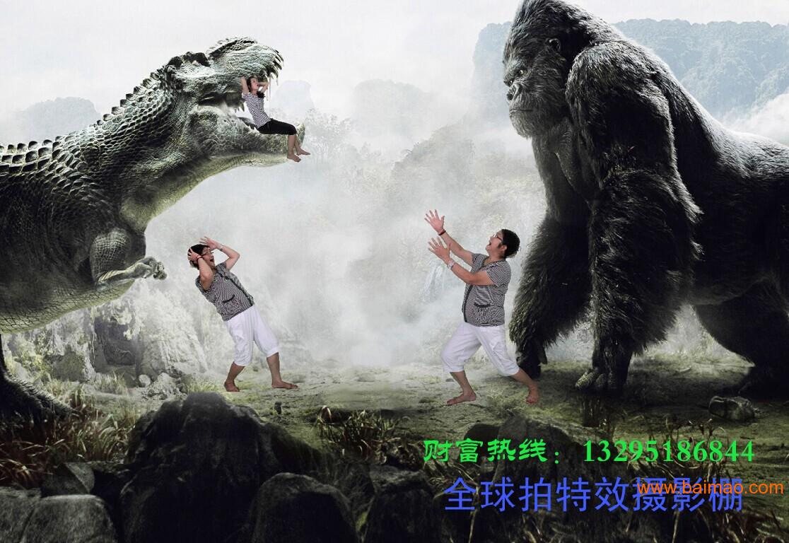 2025新版四不像图,揭秘，2025新版四不像图的奇幻世界
