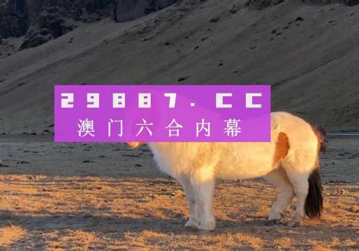 2023澳门六开彩,探索澳门六开彩，2023年的新趋势与挑战
