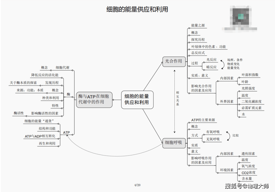 三肖必中三期必出一期澳门彩,揭秘三肖必中三期必出一期澳门彩的神秘面纱