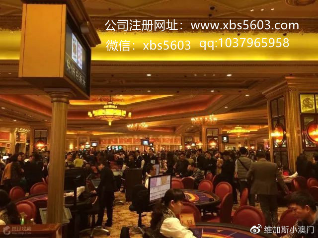 澳门最准一肖一码一码孑,澳门最准一肖一码，揭秘背后的秘密