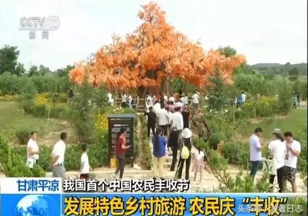 四不像正版 正版四不像凤凰,四不像正版与正版四不像凤凰，探索正版文化的多元魅力