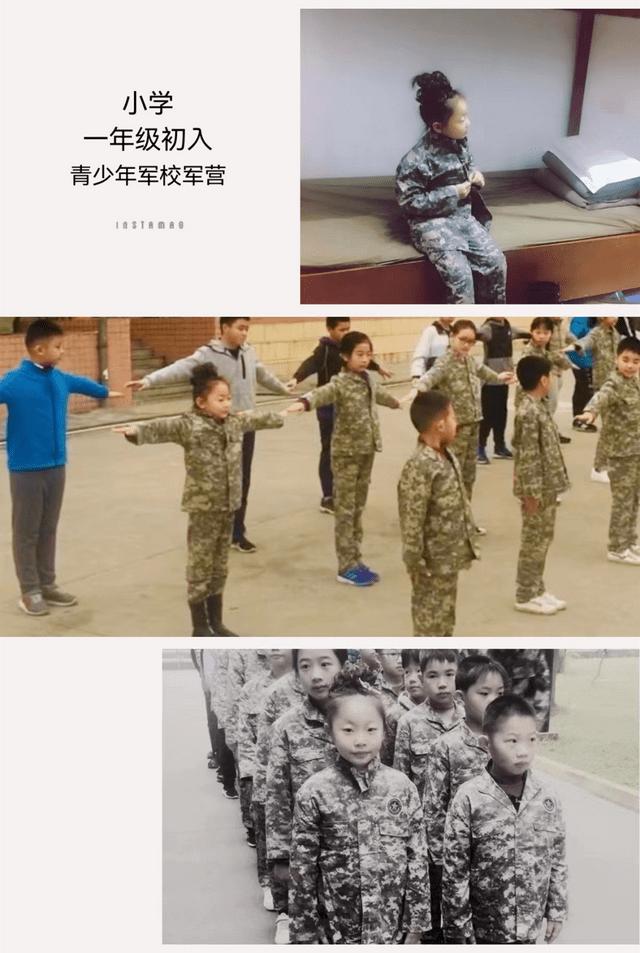 澳门今晚开奖结果2023年,澳门今晚开奖结果2023年，探索彩票背后的故事与期待