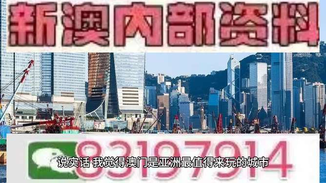 新澳门今晚开特马开,新澳门今晚特马开彩的期待与探索