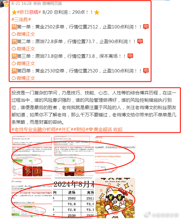 最准一肖100%准确使用方法,揭秘最准一肖，100%准确使用指南