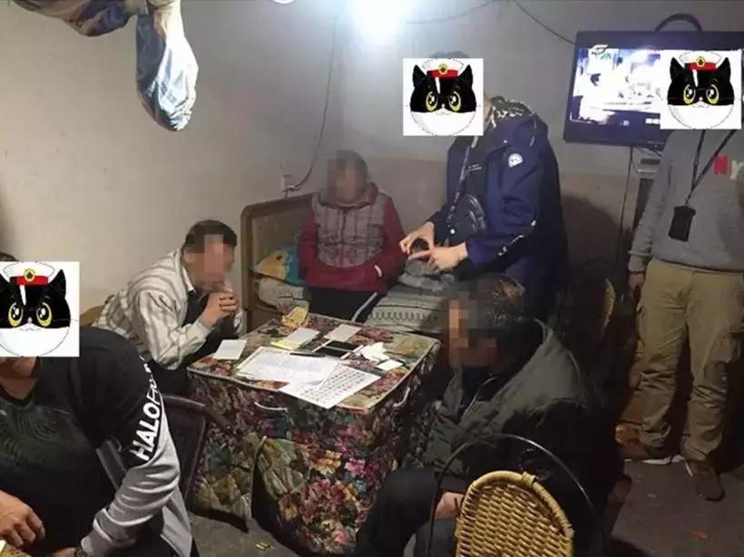 六和彩资料有哪些网址可以看,探索六和彩资料，获取资讯的途径与方法
