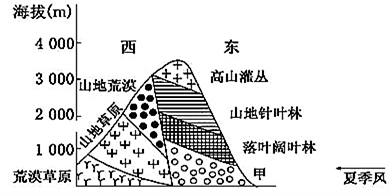 大地资源第二页第三页区别,大地资源的第二页与第三页，区别与洞察