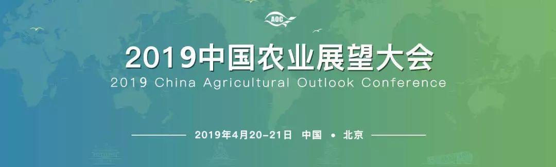2025全年资料免费,迈向2025，资料免费共享的未来展望