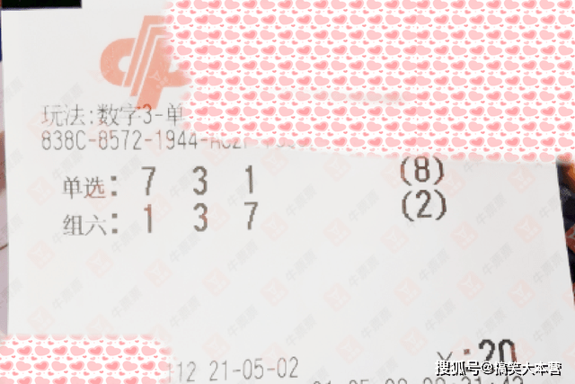 2025澳门六今晚开奖结果记录,澳门六今晚开奖结果记录——探索彩票背后的故事与启示