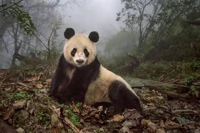 科技 第12页