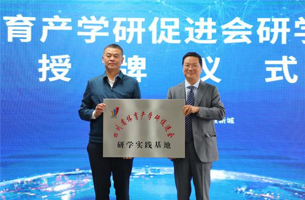 2025年新奥历史记录,新奥历史的新篇章，迈向2025年的辉煌记录