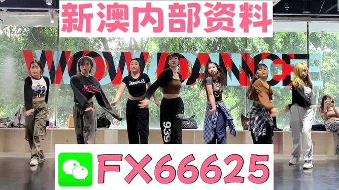 新澳六叔精准资料4988,揭秘新澳六叔精准资料4988，揭秘背后的故事与真相